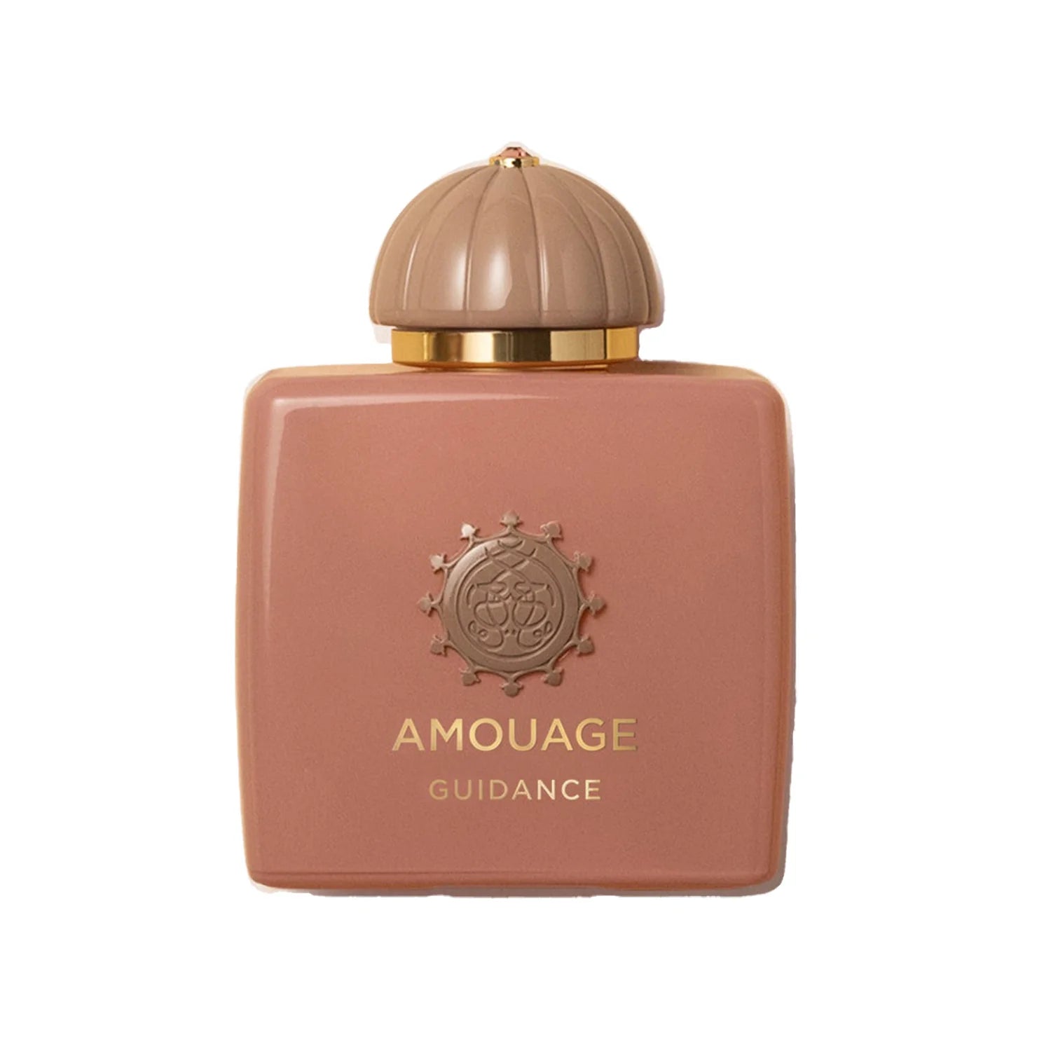 AMOUAGE GUIDANCE EDP 100ML